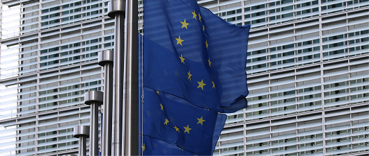 EU Flag